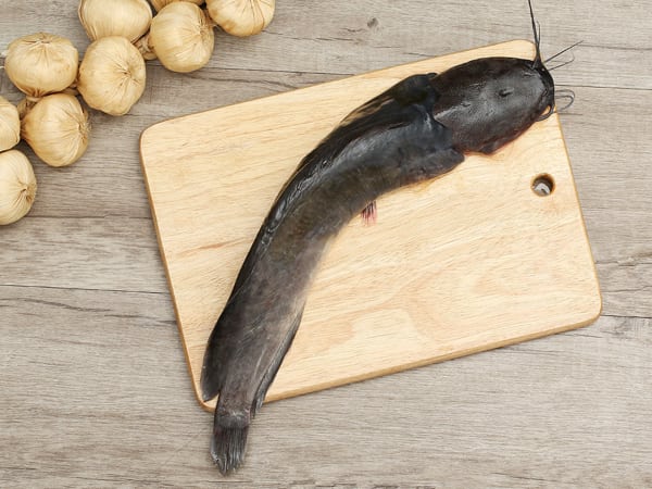 Giải mã giấc mơ thấy cá trê điềm báo lành hay dữ?