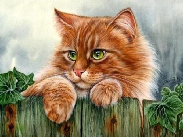 Tử vi tuổi Mão tuần 26/5 - 1/6 Tử vi tuổi Mão tuần 26/5 - 1/6