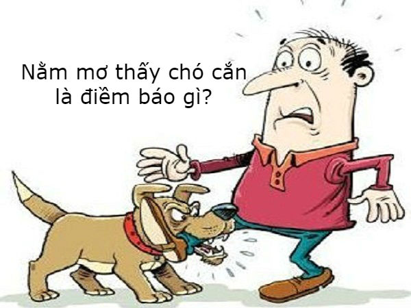 Giải mã giấc mơ thấy chó cắn điềm gì, đánh con gì phát tài?